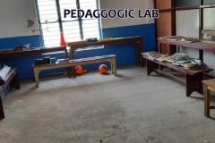 pedaggogic-lab
